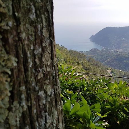 Santuario Ns Soviore Cinque Terre モンテロッソ・アル・マーレ エクステリア 写真