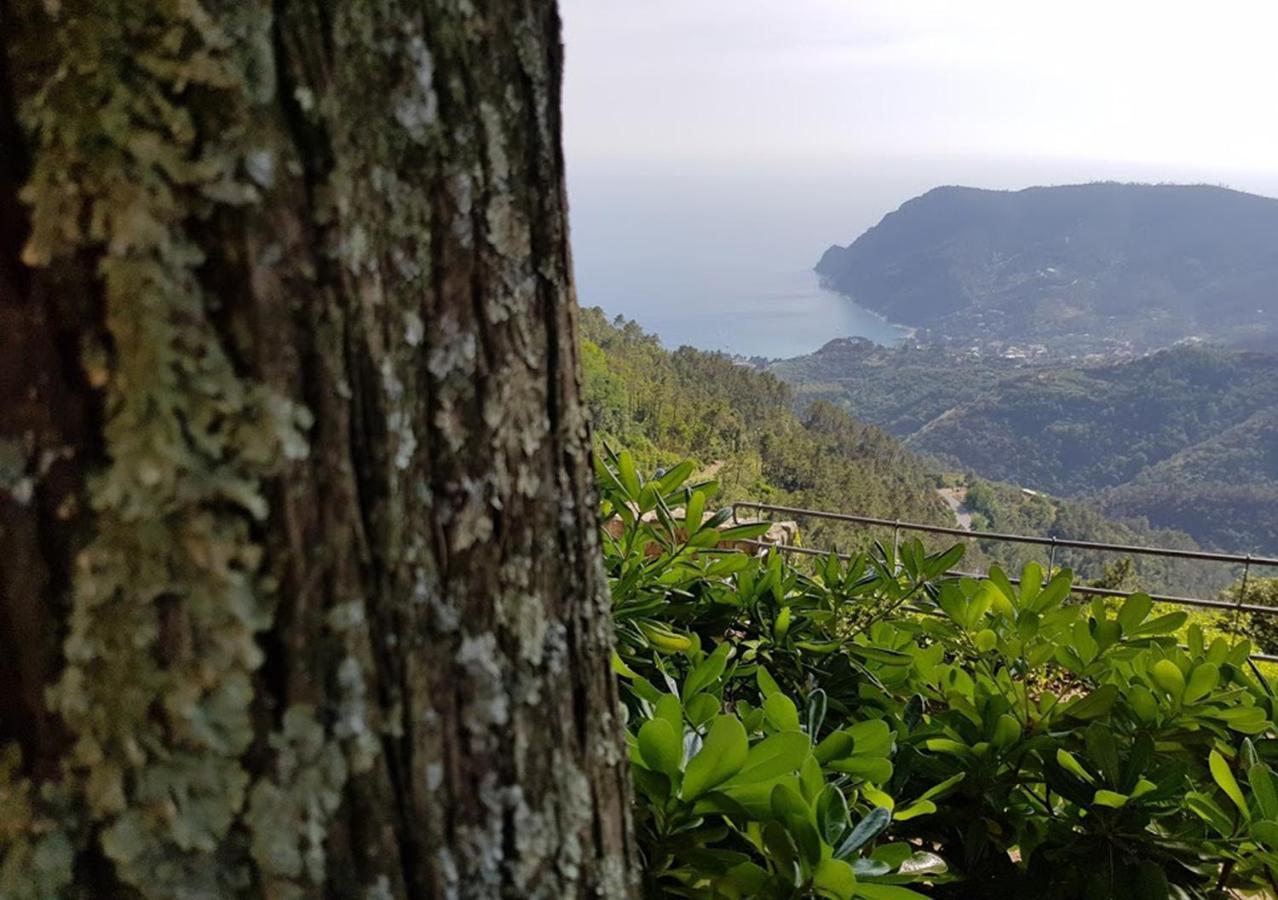 Santuario Ns Soviore Cinque Terre モンテロッソ・アル・マーレ エクステリア 写真